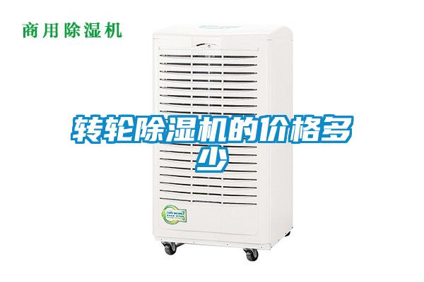 转轮91抖音免费看片的价格多少