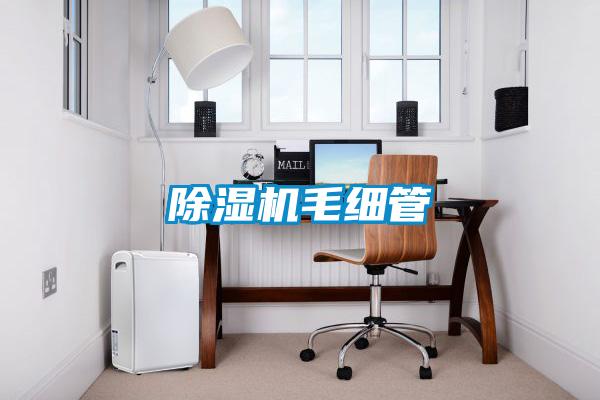 91抖音免费看片毛细管
