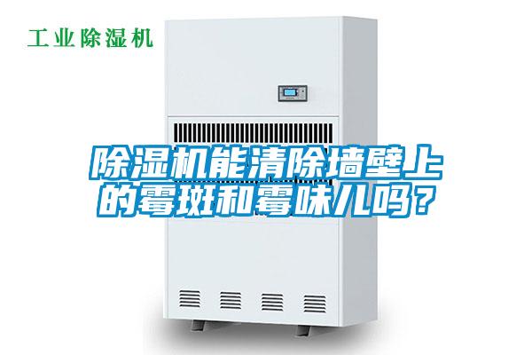 91抖音免费看片能清除墙壁上的霉斑和霉味儿吗？