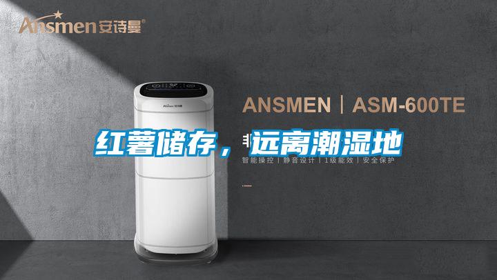 红薯储存，远离潮湿地