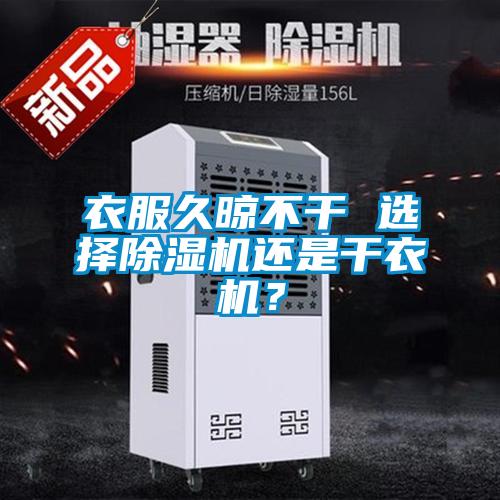 衣服久晾不干 选择91抖音免费看片还是干衣机？