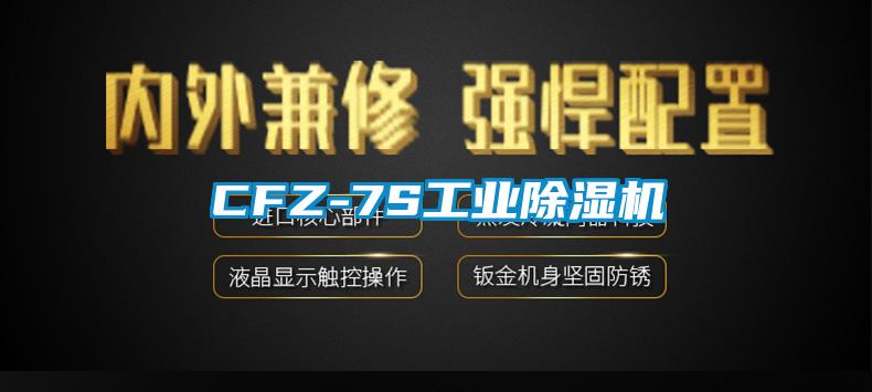 CFZ-7S工业91抖音免费看片