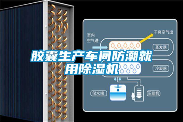 胶囊生产车间防潮就用91抖音免费看片