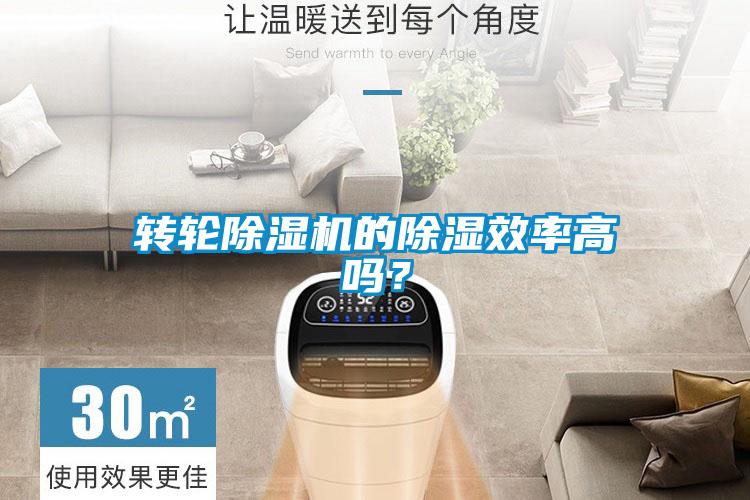 转轮91抖音免费看片的除湿效率高吗？