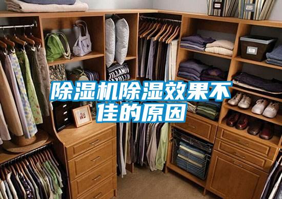 91抖音免费看片除湿效果不佳的原因