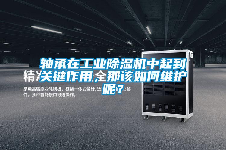 轴承在工业91抖音免费看片中起到关键作用，那该如何维护呢？