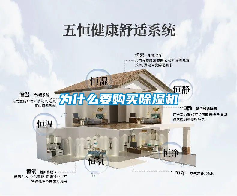 为什么要购买91抖音免费看片