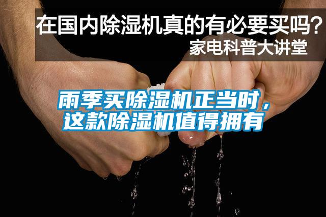 雨季买91抖音免费看片正当时，这款91抖音免费看片值得拥有