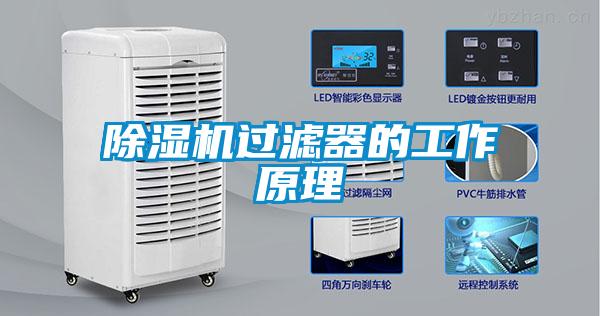 91抖音免费看片过滤器的工作原理