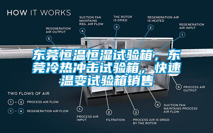 东莞恒温恒湿试验箱，东莞冷热冲击试验箱，快速温变试验箱销售