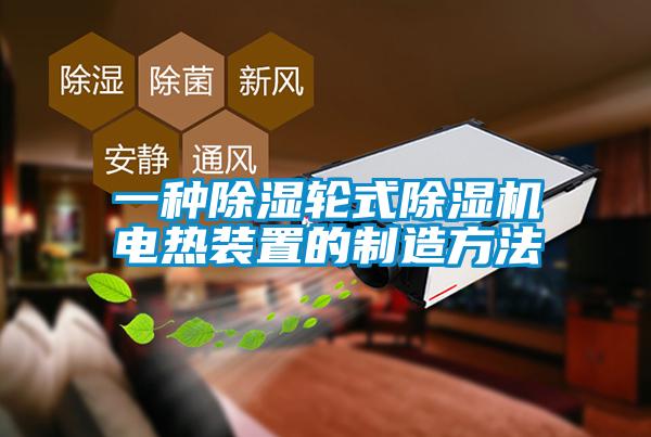 一种除湿轮式91抖音免费看片电热装置的制造方法