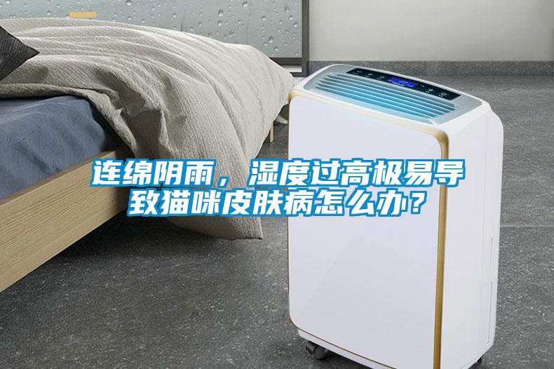 连绵阴雨，湿度过高极易导致猫咪皮肤病怎么办？