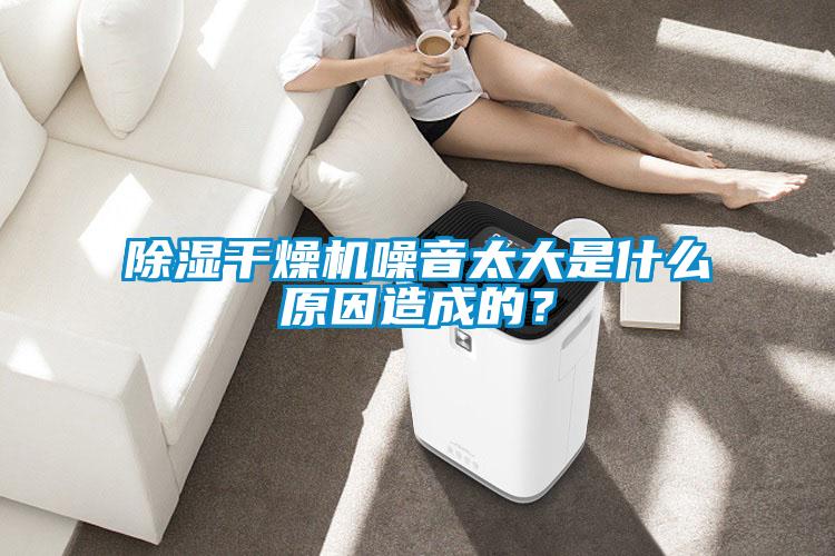 除湿干燥机噪音太大是什么原因造成的？