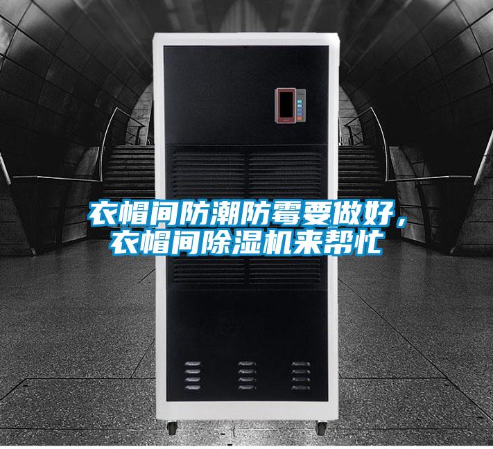 衣帽间防潮防霉要做好，衣帽间91抖音免费看片来帮忙