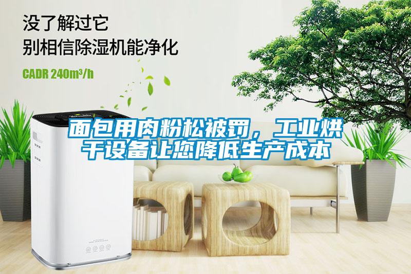 面包用肉粉松被罚，工业烘干设备让您降低生产成本