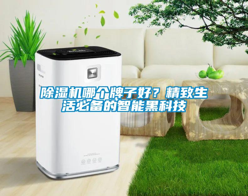 91抖音免费看片哪个牌子好？精致生活必备的智能黑科技