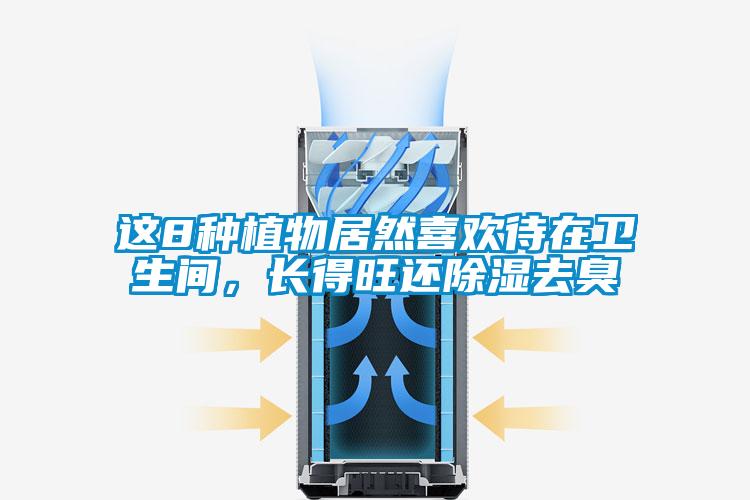这8种植物居然喜欢待在卫生间，长得旺还除湿去臭