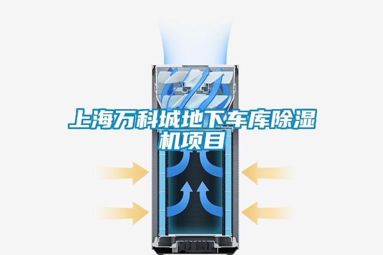 上海万科城地下车库91抖音免费看片项目