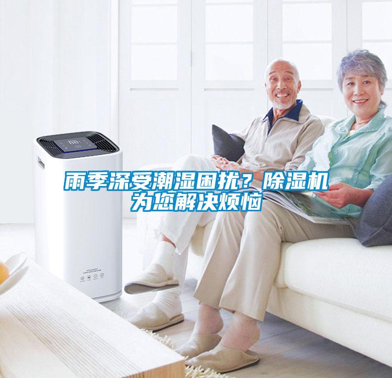 雨季深受潮湿困扰？91抖音免费看片为您解决烦恼