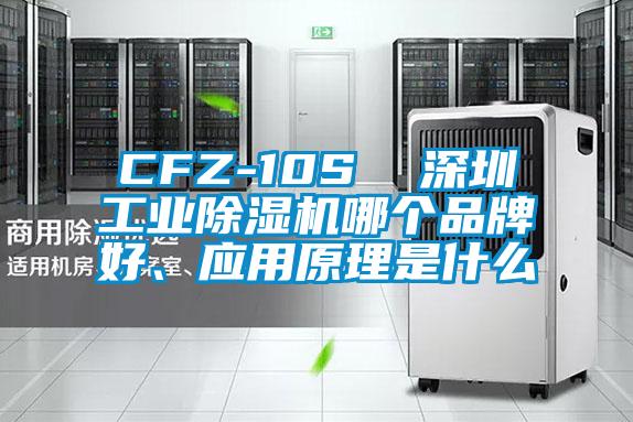 CFZ-10S  深圳工业91抖音免费看片哪个品牌好、应用原理是什么