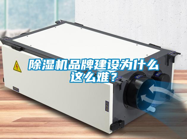 91抖音免费看片品牌建设为什么这么难？