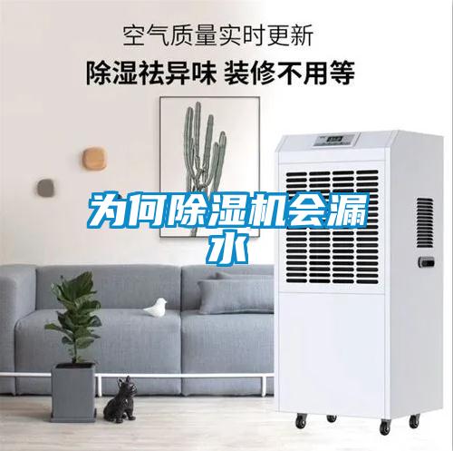 为何91抖音免费看片会漏水