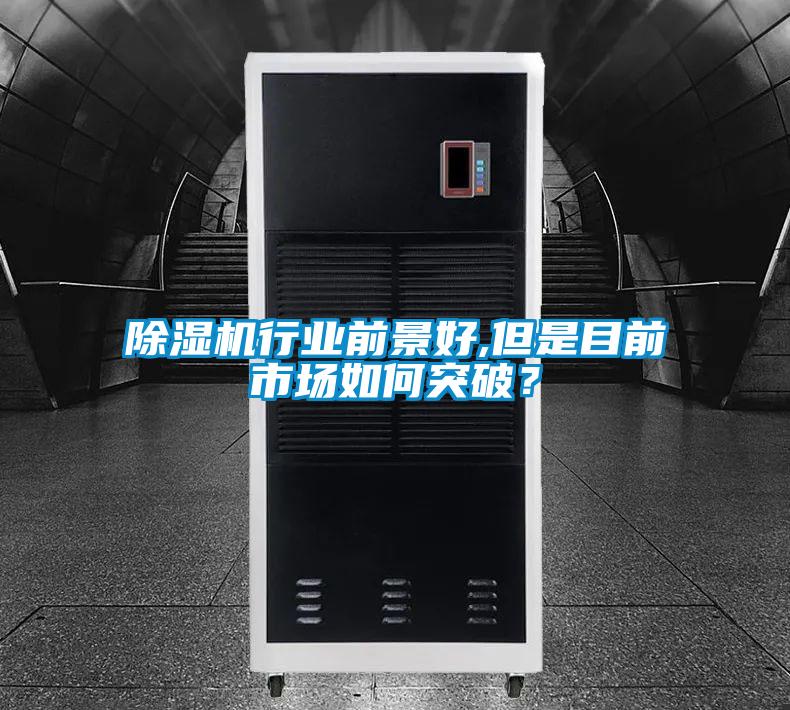 91抖音免费看片行业前景好,但是目前市场如何突破？
