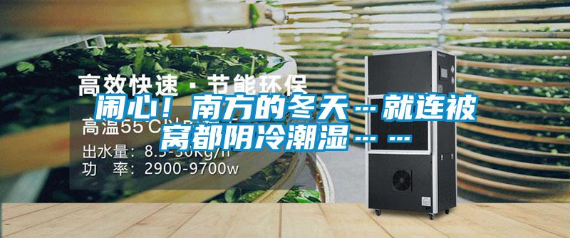 闹心！南方的冬天…就连被窝都阴冷潮湿……