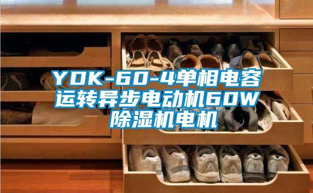 YDK-60-4单相电容运转异步电动机60W 91抖音免费看片电机