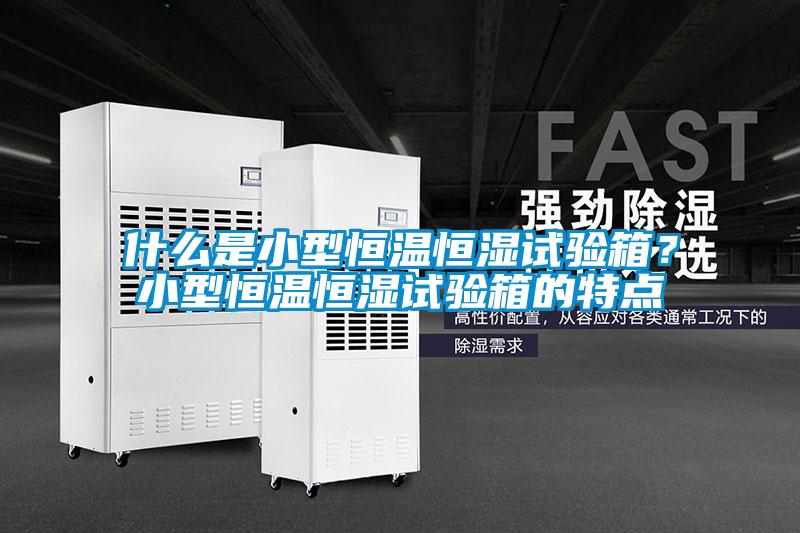 什么是小型恒温恒湿试验箱？小型恒温恒湿试验箱的特点