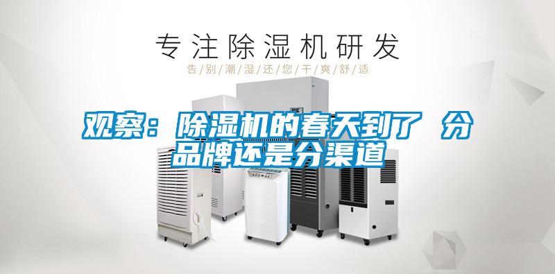 观察：91抖音免费看片的春天到了 分品牌还是分渠道