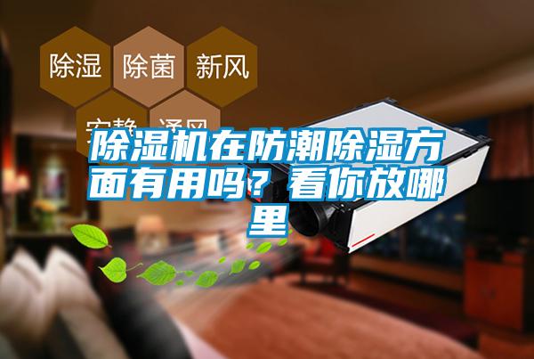 91抖音免费看片在防潮除湿方面有用吗？看你放哪里