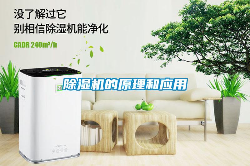 91抖音免费看片的原理和应用