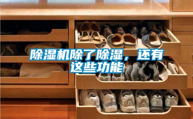 91抖音免费看片除了除湿，还有这些功能