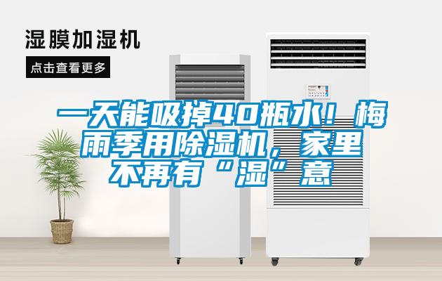 一天能吸掉40瓶水！梅雨季用91抖音免费看片，家里不再有“湿”意
