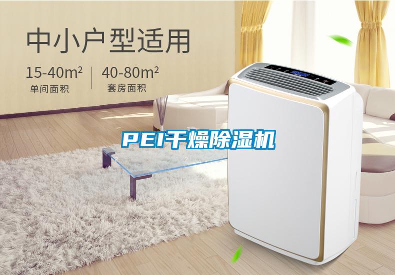 PEI干燥91抖音免费看片