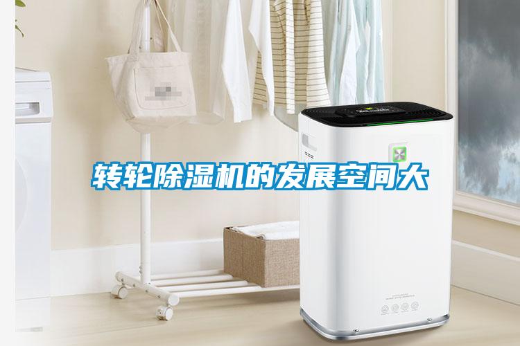 转轮91抖音免费看片的发展空间大
