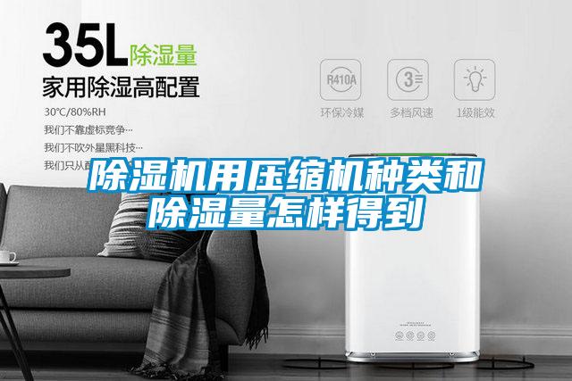 91抖音免费看片用压缩机种类和除湿量怎样得到