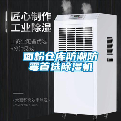 面粉仓库防潮防霉首选91抖音免费看片