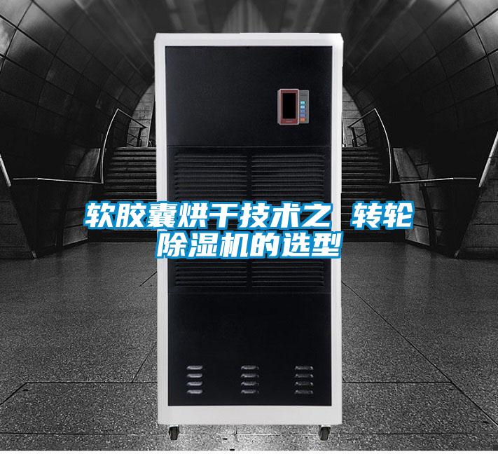 软胶囊烘干技术之 转轮91抖音免费看片的选型
