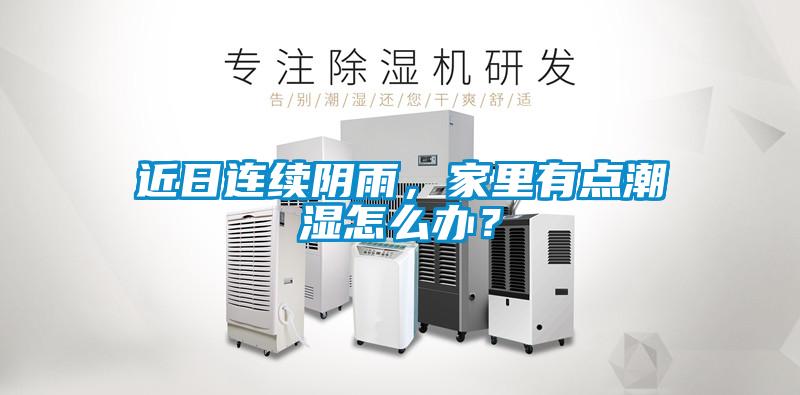 近日连续阴雨，家里有点潮湿怎么办？