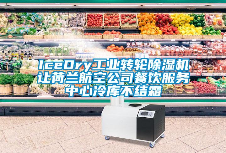 IceDry工业转轮91抖音免费看片让荷兰航空公司餐饮服务中心冷库不结霜