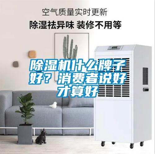 91抖音免费看片什么牌子好？消费者说好才算好
