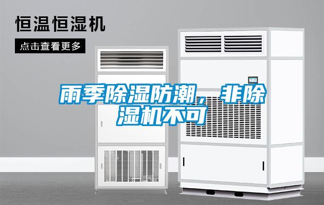 雨季除湿防潮，非91抖音免费看片不可