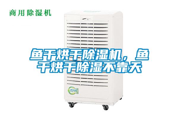 鱼干烘干91抖音免费看片，鱼干烘干除湿不靠天