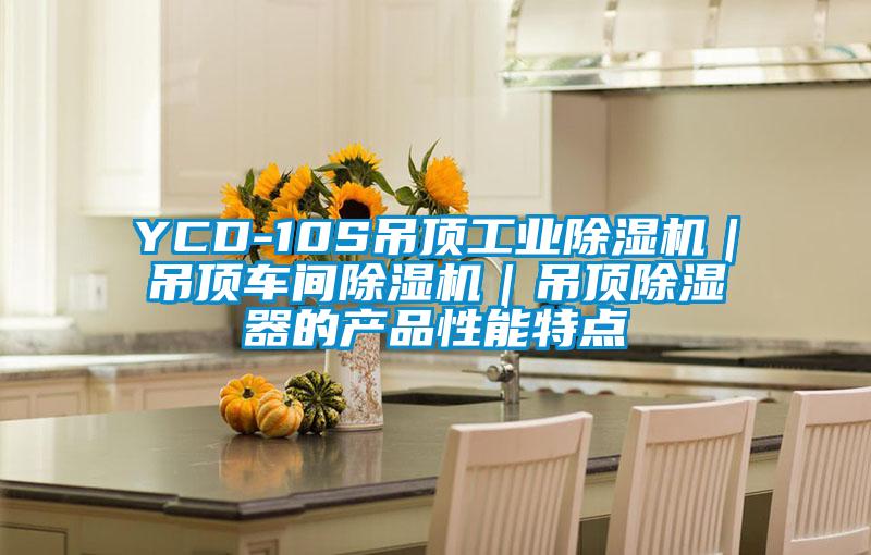 YCD-10S吊顶工业91抖音免费看片｜吊顶车间91抖音免费看片｜吊顶除湿器的产品性能特点