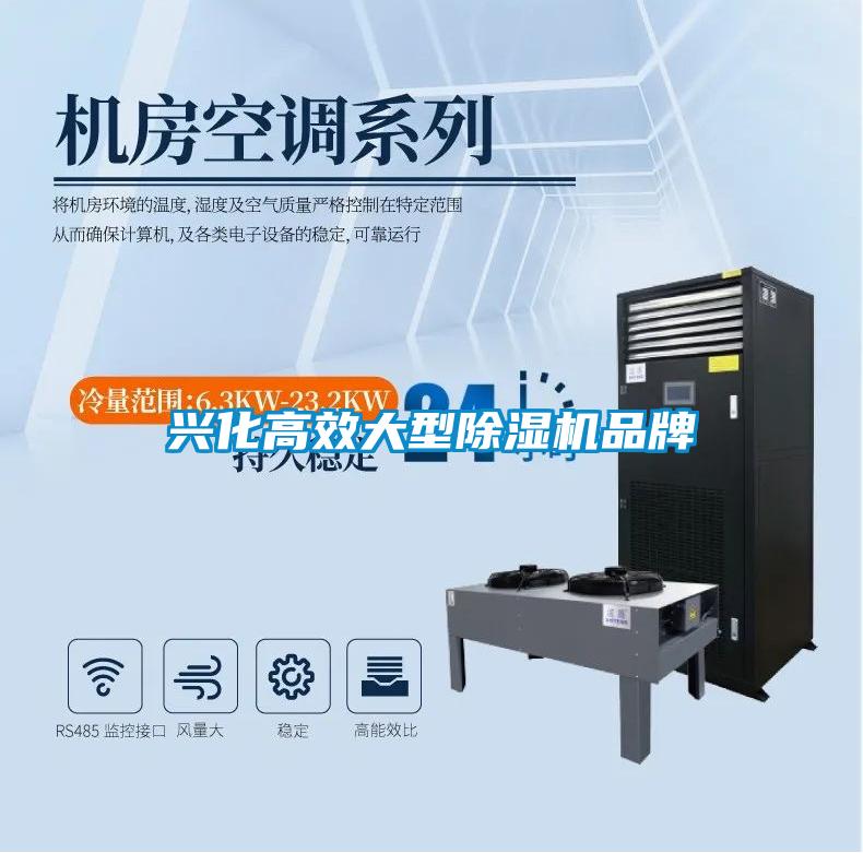 兴化高效大型91抖音免费看片品牌