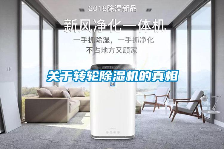 关于转轮91抖音免费看片的真相