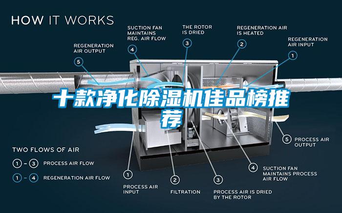 十款净化91抖音免费看片佳品榜推荐