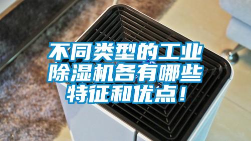不同类型的工业91抖音免费看片各有哪些特征和优点！